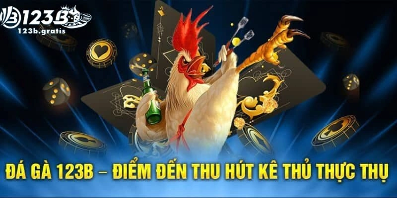 Đá gà 123b Đá gà 123b